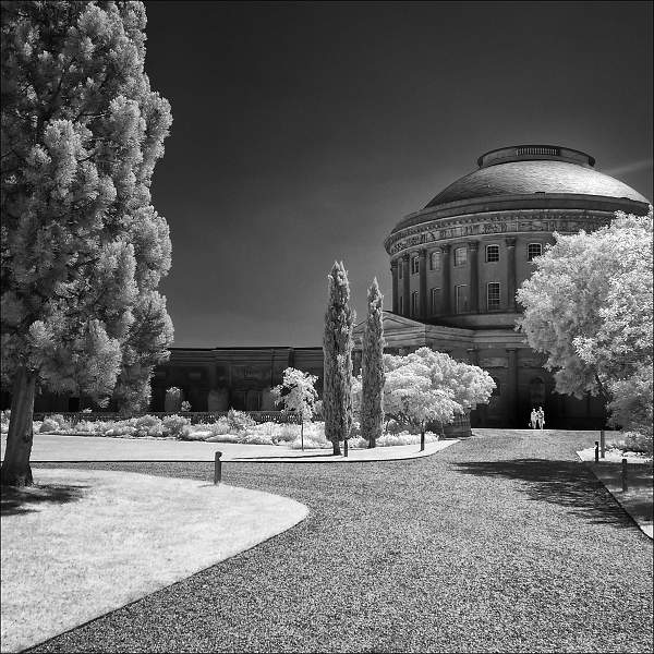 7 Ickworth_David Robinson.jpg