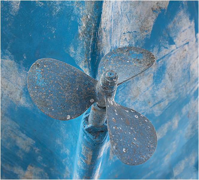 Levick Cup (Record) - Propeller - Julie Browne.jpg - Annual Exhibition