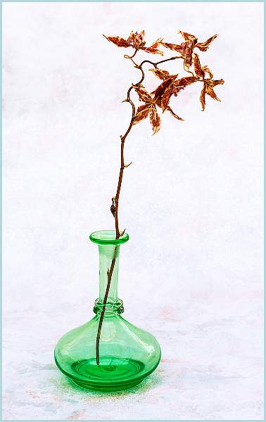 Barry Freeman_01.jpg - Clover Cup 2021-  pos 1