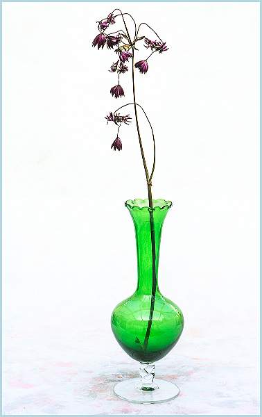 Barry Freeman_03.jpg - Clover Cup 2021-  pos 3