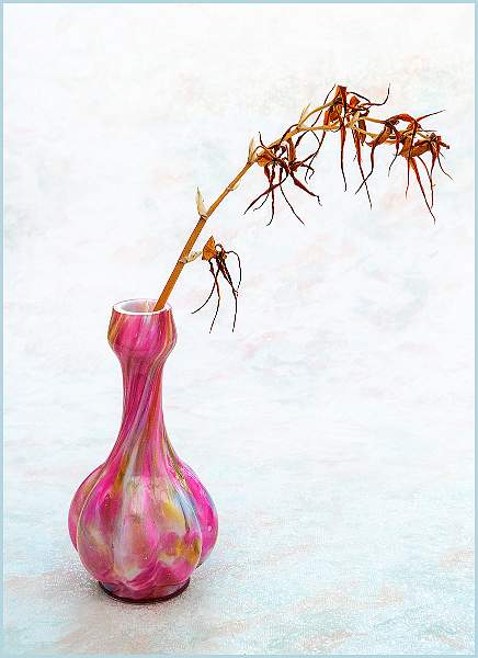 Barry Freeman_04.jpg - Clover Cup 2021-  pos 4