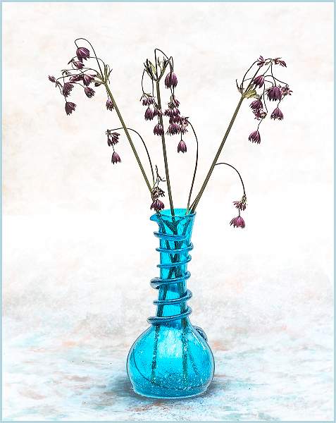 Barry Freeman_05.jpg - Clover Cup 2021-  pos 5