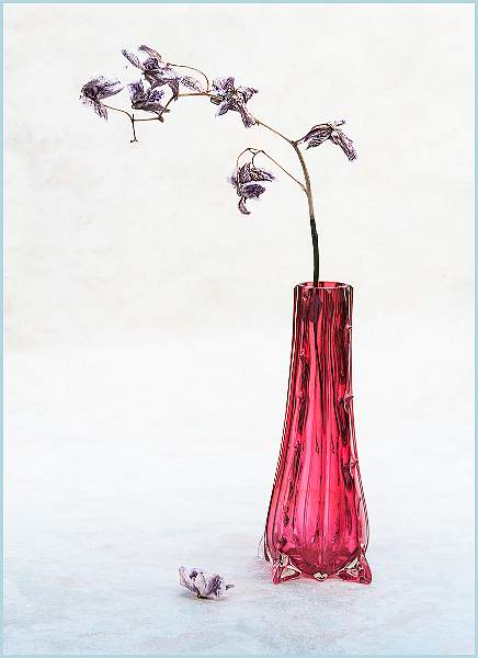 Barry Freeman_06.jpg - Clover Cup 2021-  pos 6