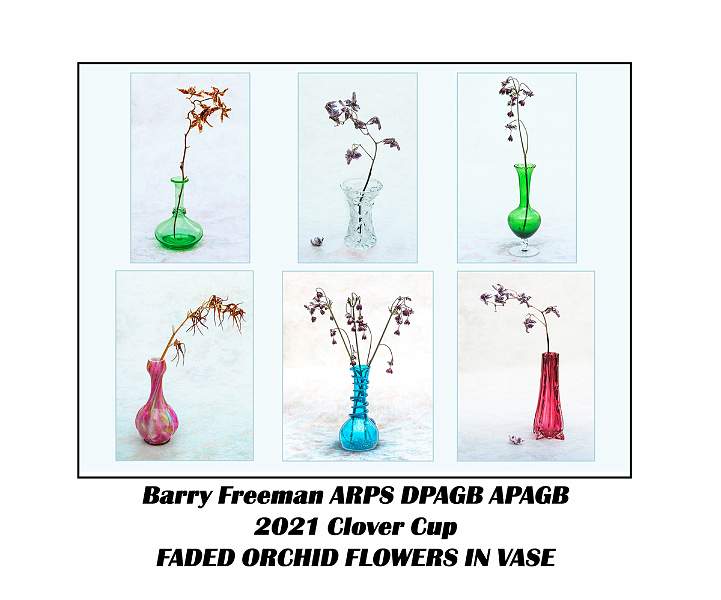 Barry Freeman_Decayed Orchids in Glass Vases.jpg