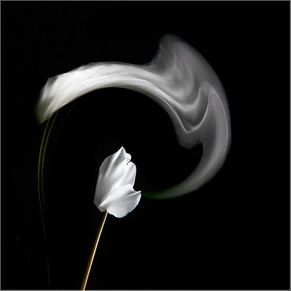 IMAGE 1 DSC_0280 copy.jpg