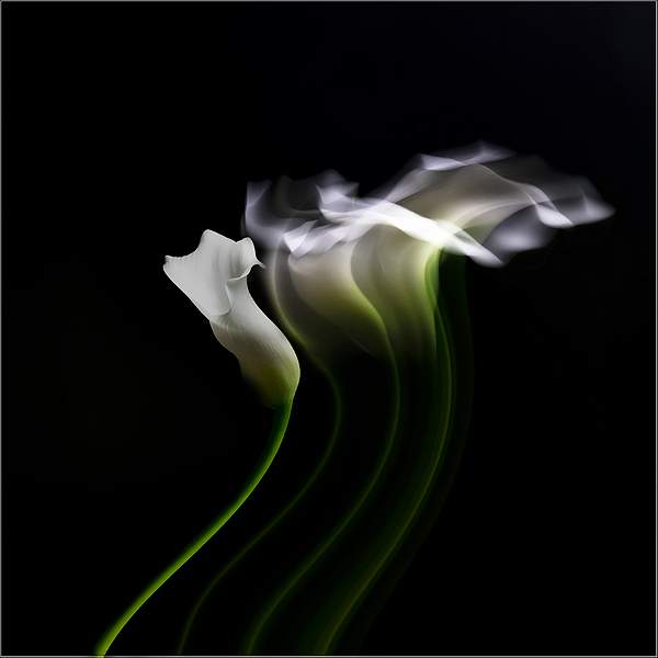 IMAGE 2 DSC_0622 copy.jpg