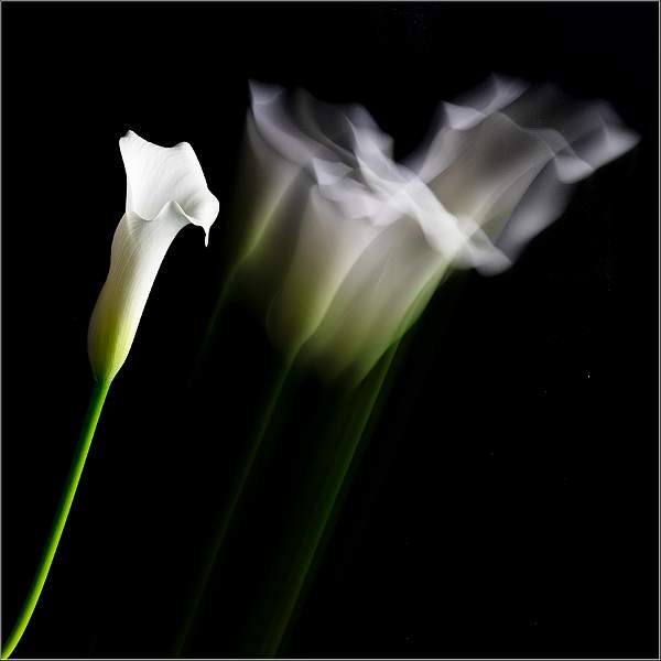 IMAGE 4 DSC_0622 copy.jpg