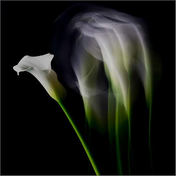 IMAGE 6 DSC_0568 copy.jpg