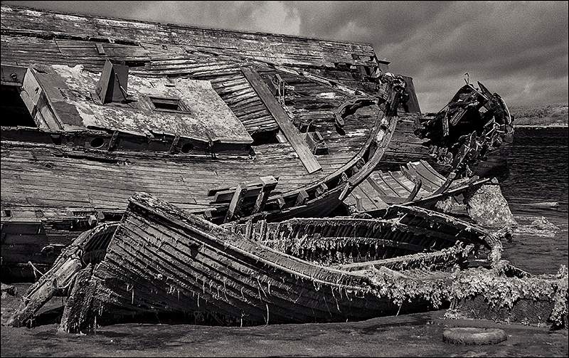 0131 SFX v 2 final.jpg - SONY DSC