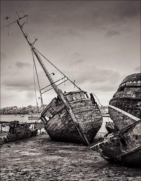 0397 SFX final.jpg - SONY DSC