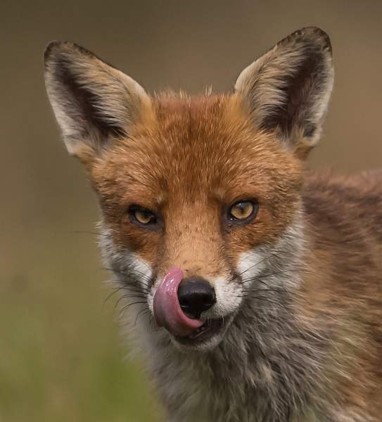 Sign of a Good Meal.jpg