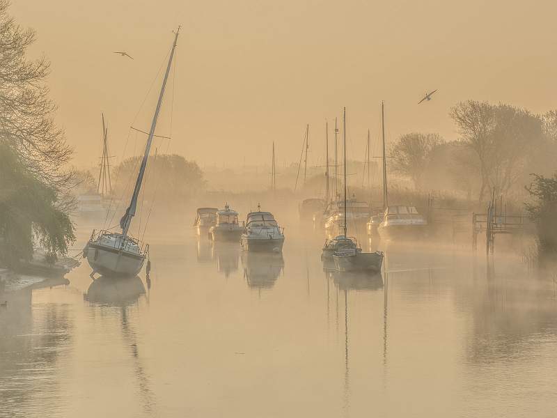 Wareham Mist.jpg