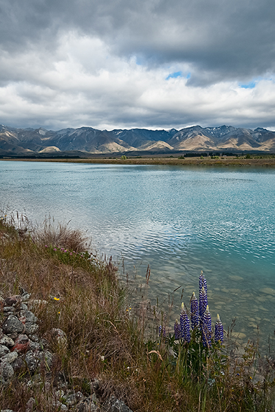 09.jpg - Pukaki Canal, South Island, NZ