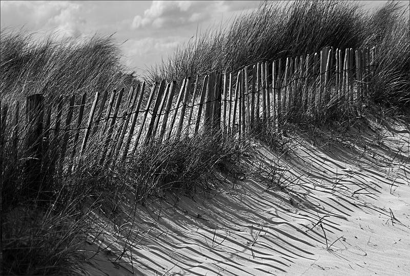Walberswick Fence .jpg - IDPS