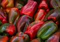 Peppers