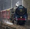 The Oliver Cromwell