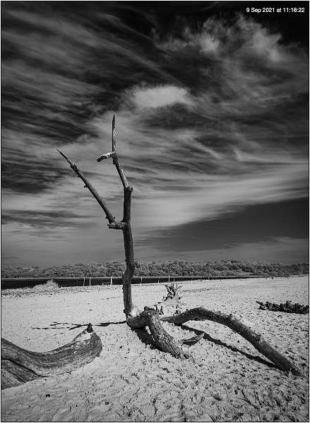 Benacre.jpg - Covehithe and Benacre Broad