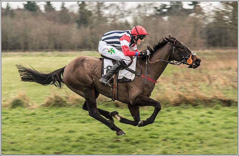 At The Gallop MC2_9120.jpg