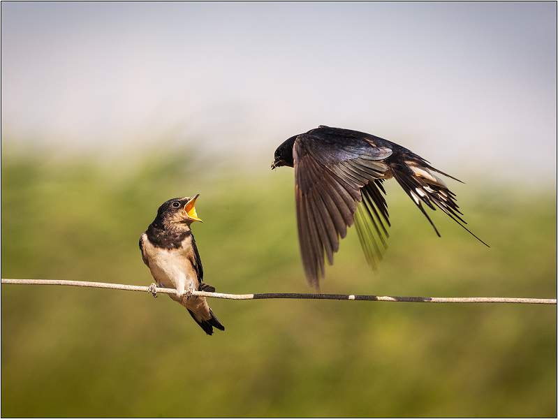 04.01_MC1_8942.jpg - East Lane, Bawdsey