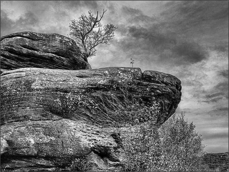 Lone Trees and Rocks 4.jpg - Holbrook Cup