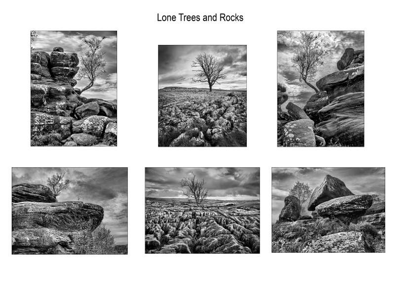 Lone Trees and Rocks Layout Plan.jpg - hO