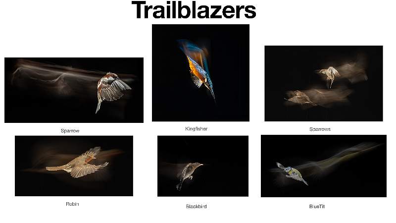 Trailblazers-1.jpg