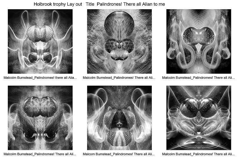 Holbrook Trophy Lay out.jpg - Holbrook Trophy