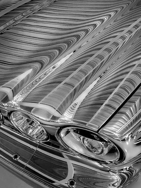 Bonnet reflections.jpg