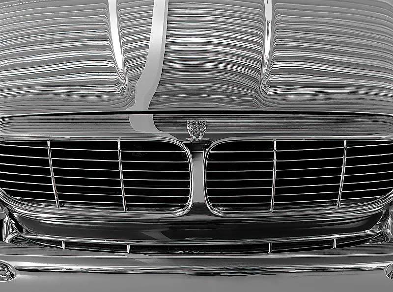 Jaguar grill .jpg