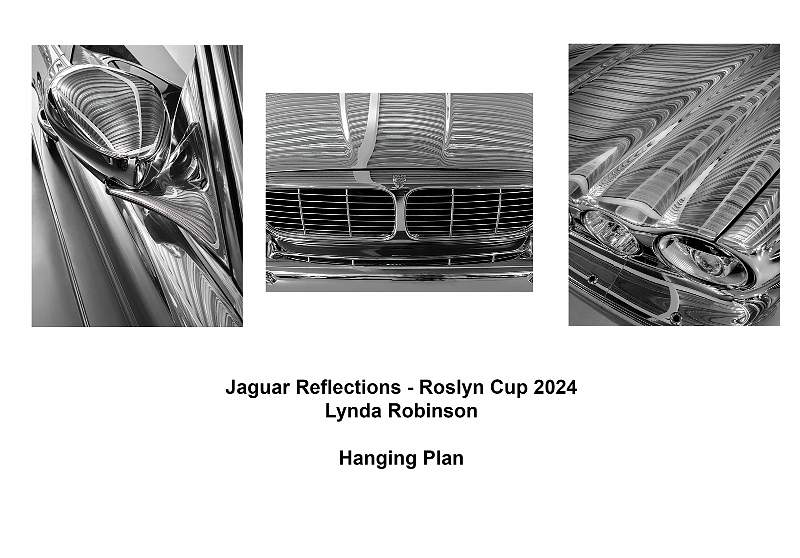 Roslyn 2024 Hanging Plan.jpg