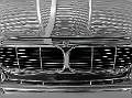 Jaguar grill 