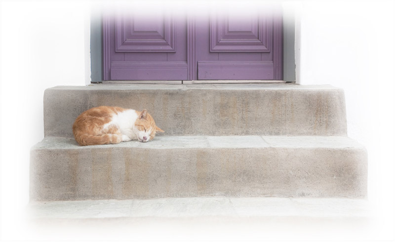 Catnap.jpg - Open Print Monthly 16.9.13