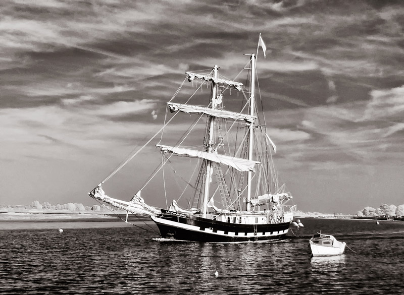 2013-P4-014.jpg - SONY DSC