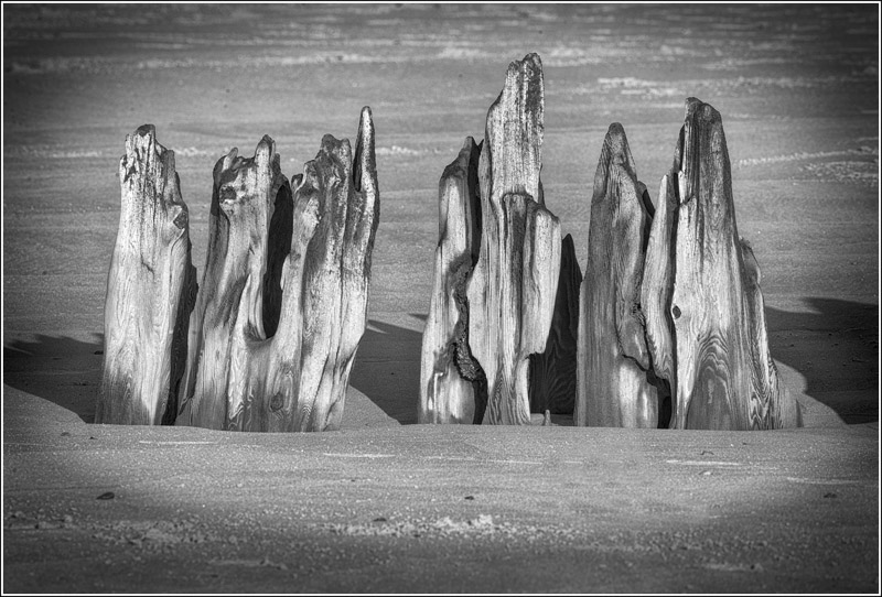 2013-P5-010.jpg - Old Groin