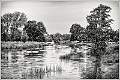 RIVER AVON_David Ryland_OPEN