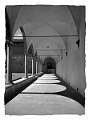Cloisters-in-Florence_Ian-Swann_set