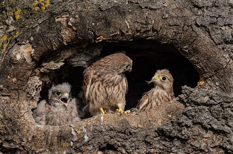 Soon Be Time To Leave_Martin Hancock_Open.jpg - Soon Be Time To Leave