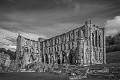 Peter Smith_Rievaulx Abbey_Open