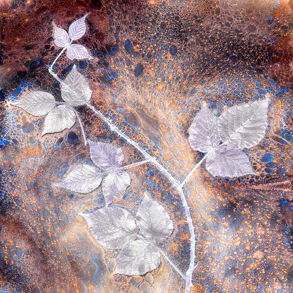 Silver Blue & Gold.jpg - Silver Blue & Gold