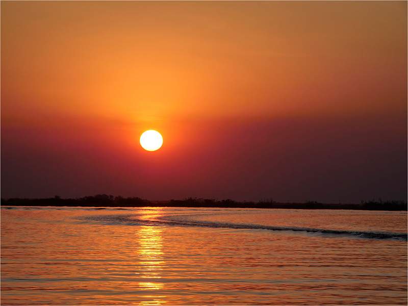 African Sunset_Wendy Mann_Open.jpg - Open