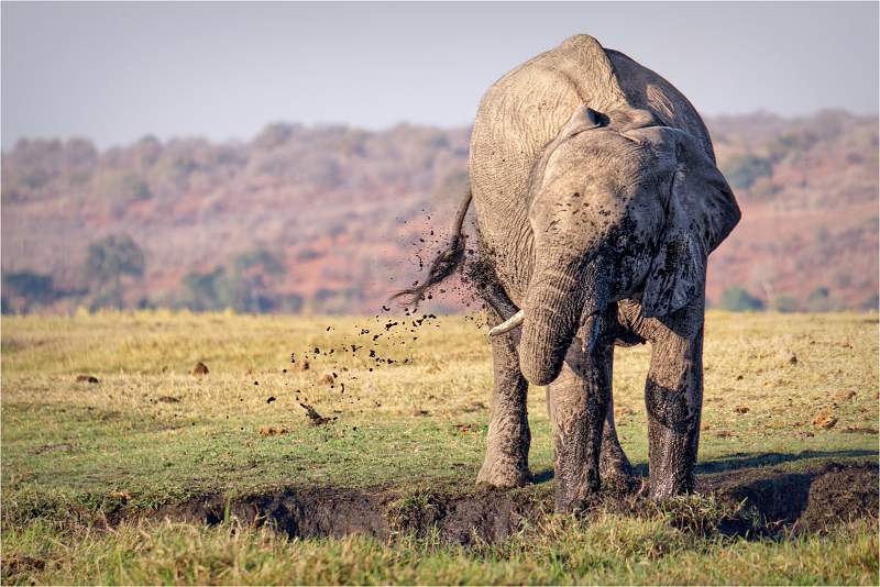 Applying Sunscreen_Wendy Mann_Set.jpg - Set