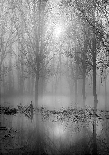 Flood Planes in the Mist.jpg