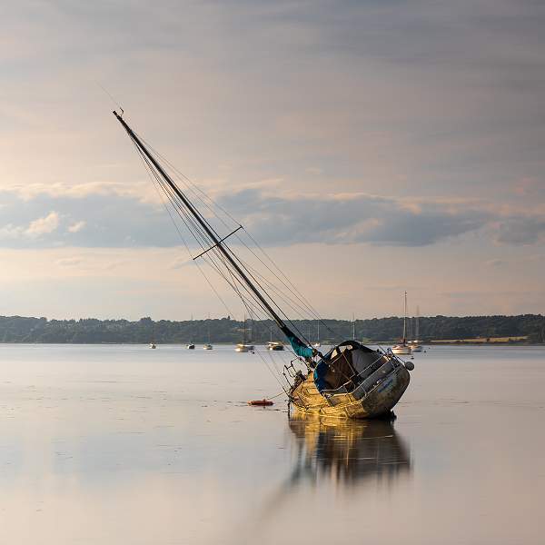Morning light_Ian Miller_open.jpg
