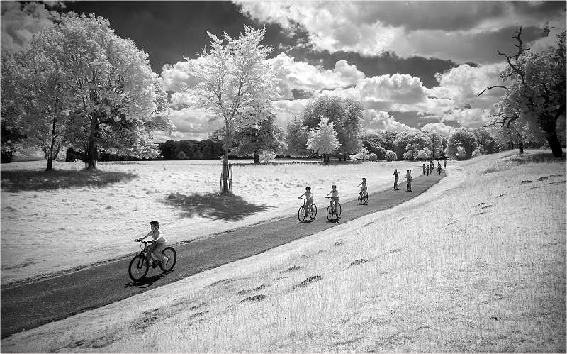 Out for a Bike Ride_Alison Hance_open.jpg - Open  1st Monthly Print Comp