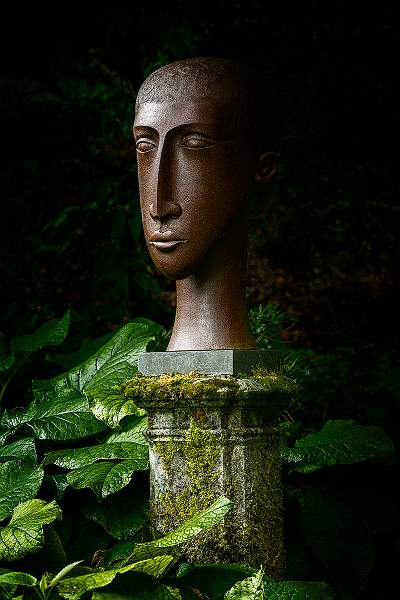 catching_the_light_open.jpg - Behaviour - Open