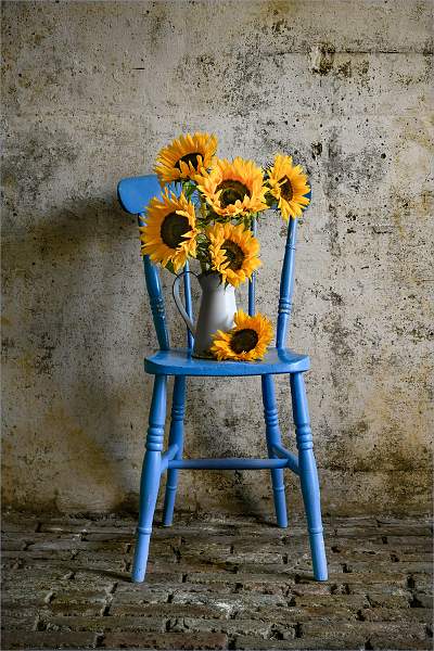 Sunflowers Blue Chair.jpg