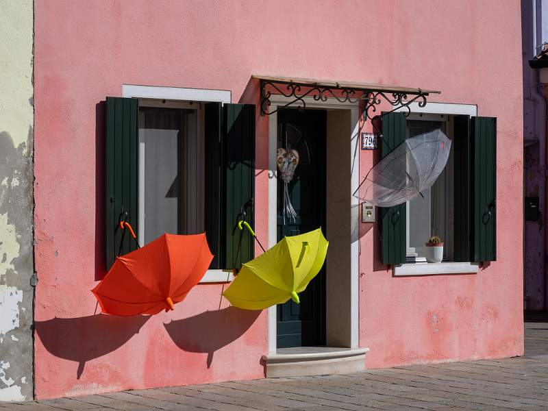 2025 03 17 Feathers Open 20250227-_DSC8034-2.jpg