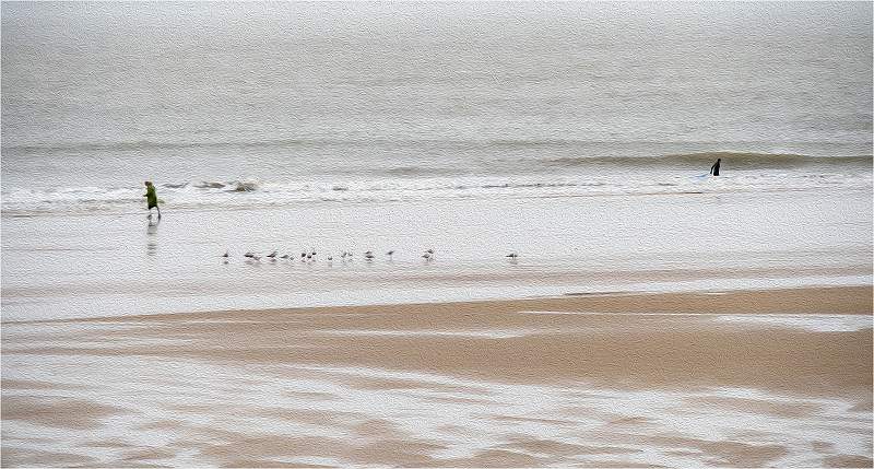 Grey Day_Alison Hance_Open.jpg - 4th Print Comp - Open