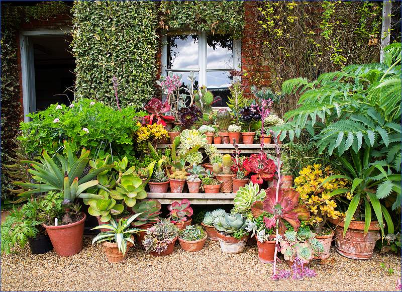 The Gardeners House_David Ryland_SET.jpg