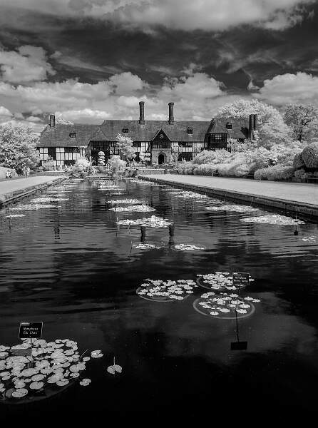 Wisley Lily Pond.jpg